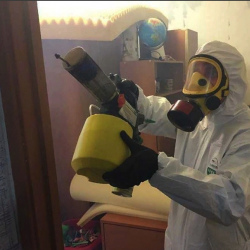 Уничтожение клопов в квартире. Хорошёвский район